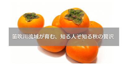 tFsxLMmGo9drhVhUxxtc.png?w=940&h=940