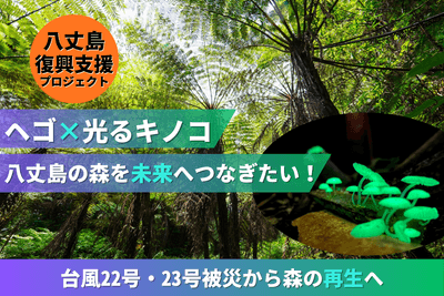 tG7vscLb9eFR9DuG8GyB.png?w=940&h=940