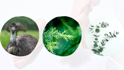 tHy0tThiG8X8SYpi7G91.jpg?w=940&h=940