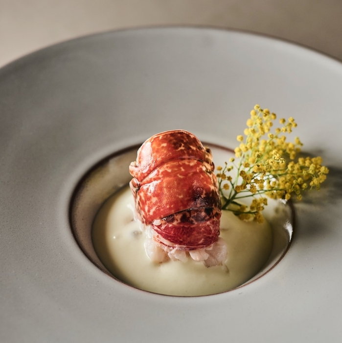 ディナーの一皿(イメージ)