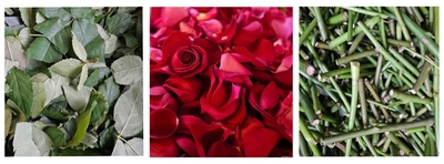 tMNhvI8tQjU5jUfxjosL.jpg?w=940&h=940