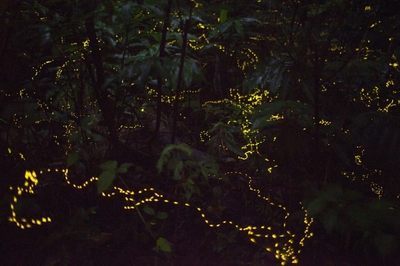 tMS3arOX0FBpH8n9aRsA.jpg?w=940&h=940