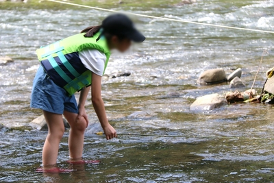 tPAcdj6y9nG6uFyoWjiO.JPG?w=940&h=940