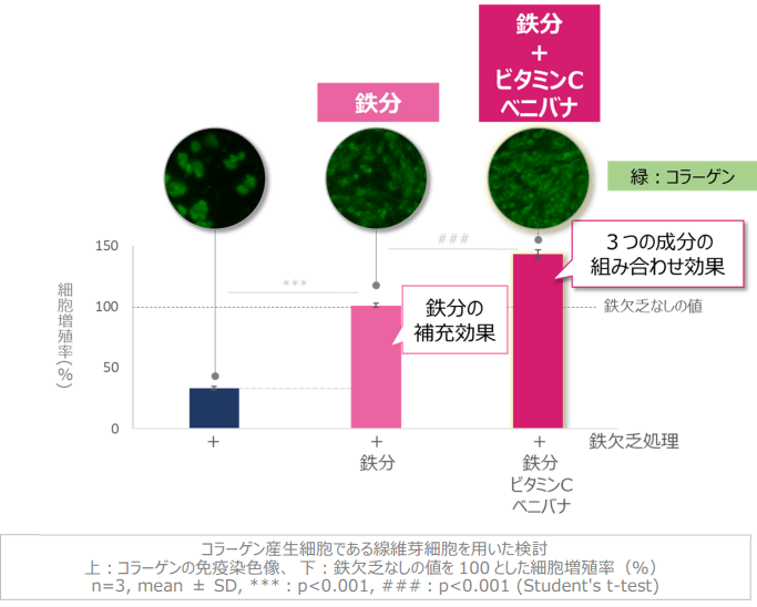 イメージ図 美しい肌のコラーゲン産生に必要な鉄分とビタミンC