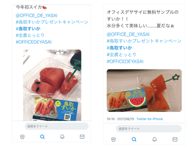 tRH6cqAMhoP3sqMjTwS0.png?w=940&h=940