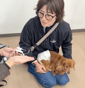 Vibone nezu pet for dogsに飼い主の声を録音する