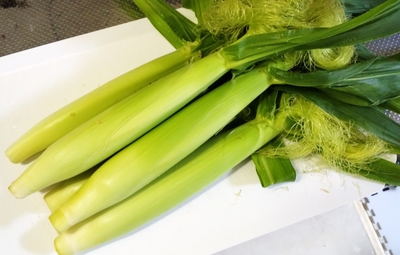 tTJaRPBAehCINfimK6yO.jpg?w=940&h=940