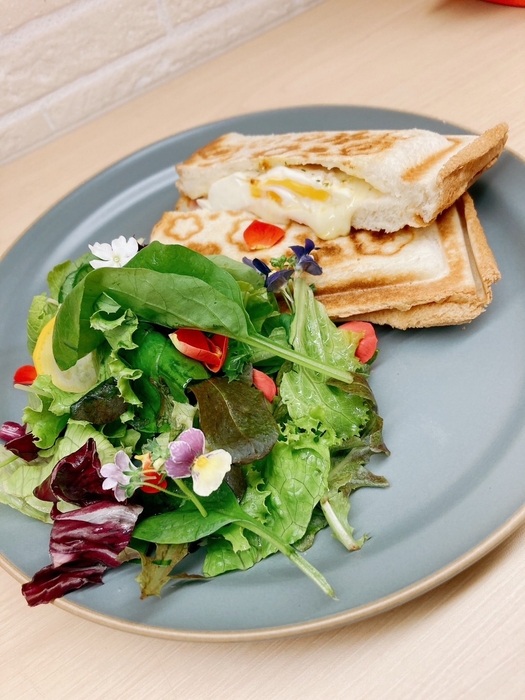 新作 ホットサンド