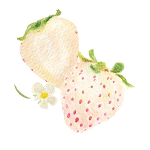 tU4TQnP8uT4VHINrBMgY.jpg?w=940&h=940