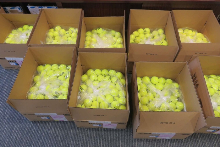 写真提供:テニススクール シルキーウインズ