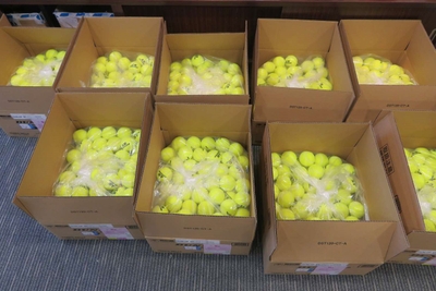 写真提供：テニススクール シルキーウインズ