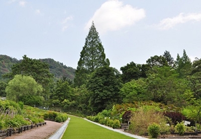 tUv3nj7O5LH338mlG9OD.jpg?w=940&h=940