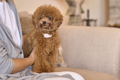 tUvIkoLs2z0ARxbGFYF8.jpg?w=940&h=940