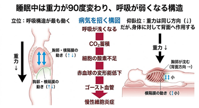 tVDtMoqtJlZe5k6CQi3W.png?w=940&h=940