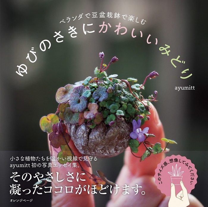 『ベランダで豆盆栽鉢で楽しむ ゆびのさきにかわいいみどり』(帯あり)