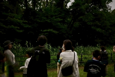 2025年の「夜のホタル観察会」の様子