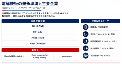 図：世界の電解鉄板の競争環境と主要企業