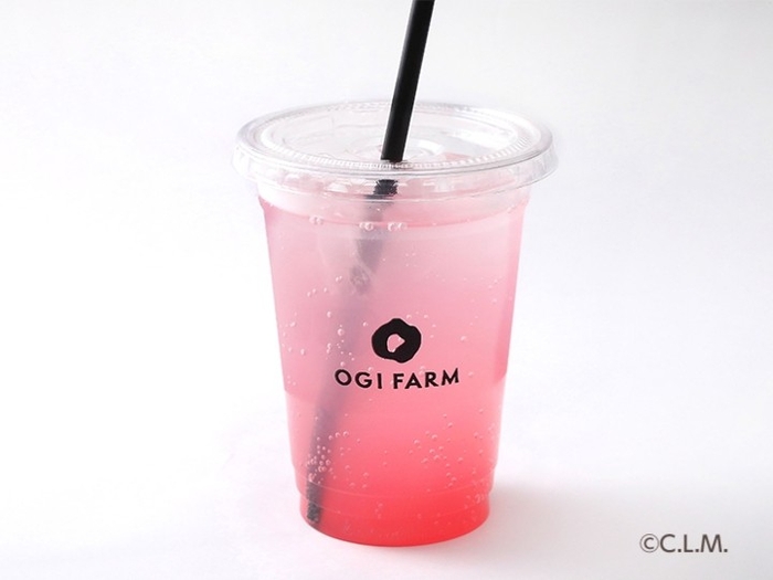 岩下のピンクジンジャー