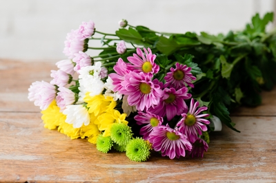 tWnjQw8QVpDLsryixQ7z.jpg?w=940&h=940