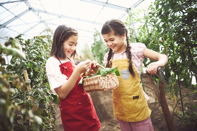 tWpIctIgZht5sr47AnC1.jpg?w=940&h=940