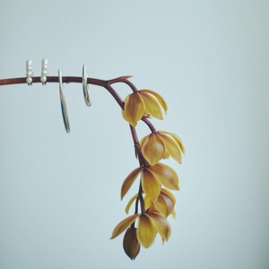 左からCreasent Pearl Earring、Sardine Earcuff、Trigger Earcuff