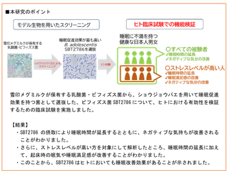 雪印メグミルク保有の ビフィズス菌アドレセンティスSBT2786 ヒトにおいて睡眠改善効果を有することを確認