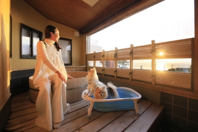 tXzGadBnguSA8aVgNBf5.jpg?w=940&h=940