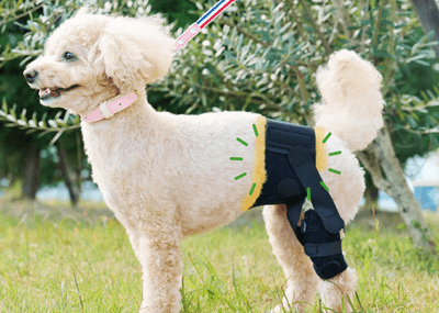 taCeVm8HpCD2V5ZIw0tI.png?w=940&h=940