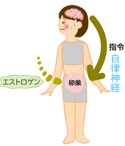 tbTA2S80gNCODyXWsMlV.png?w=940&h=940