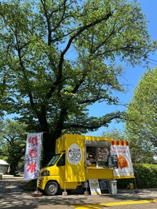 tcPg5hvs9a3u3aLsUa5d.jpeg?w=940&h=940