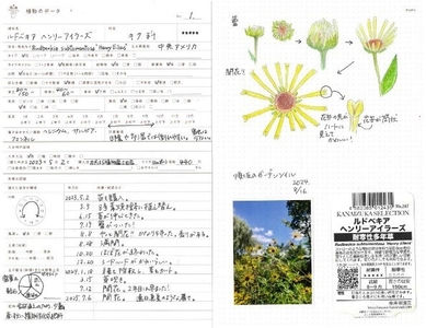 植物のデータ使用例