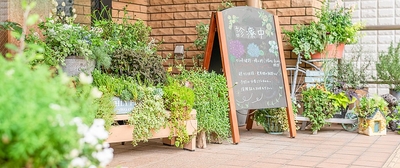 tdiNOw0tpPKHkbbxEsoS.jpg?w=940&h=940