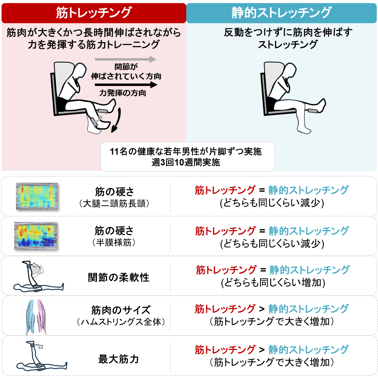 「筋トレはストレッチングの代わりになるのか？」
筋肉を"柔らかく"・"強く"・"大きく"する一石三鳥の新たな筋トレ法