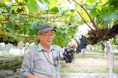 tfjoAjoj8wnu9QGGelaN.jpg?w=940&h=940