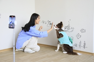 フォトスポットで旅の思い出を