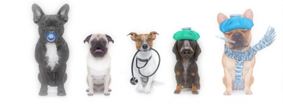 tgn5WnTQPQa54An3xYaV.jpeg?w=940&h=940