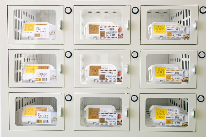 採れたて新鮮卵を販売します