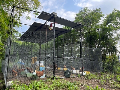 岡山市内に建設した鶏舎（毛利さん撮影）