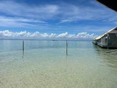 tjUzFCjOQsBWCt9w1OnD.jpg?w=940&h=940