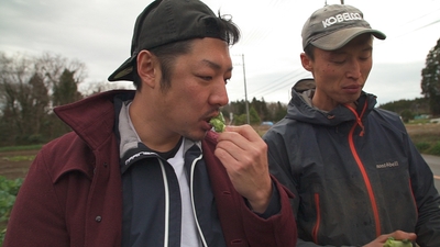 tjcvl7sHjMUHDPYSuLAy.jpg?w=940&h=940