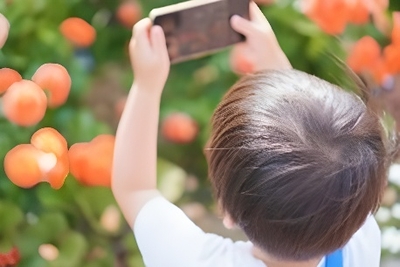 TOKYO PARKS PLAY（使用イメージ）