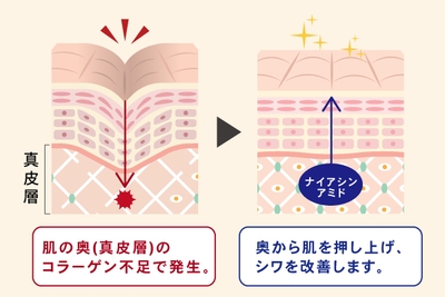 tkk7XRv4mxqXuIAg42Yb.jpg?w=940&h=940