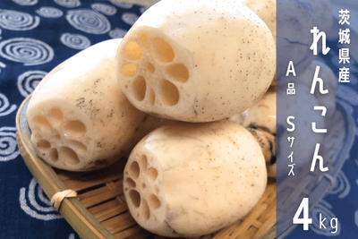 tkqNoUDwUDYYUuk2E7LM.png?w=940&h=940