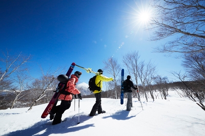 tlxhQR4vKLnmsLDwdYdm.jpg?w=940&h=940