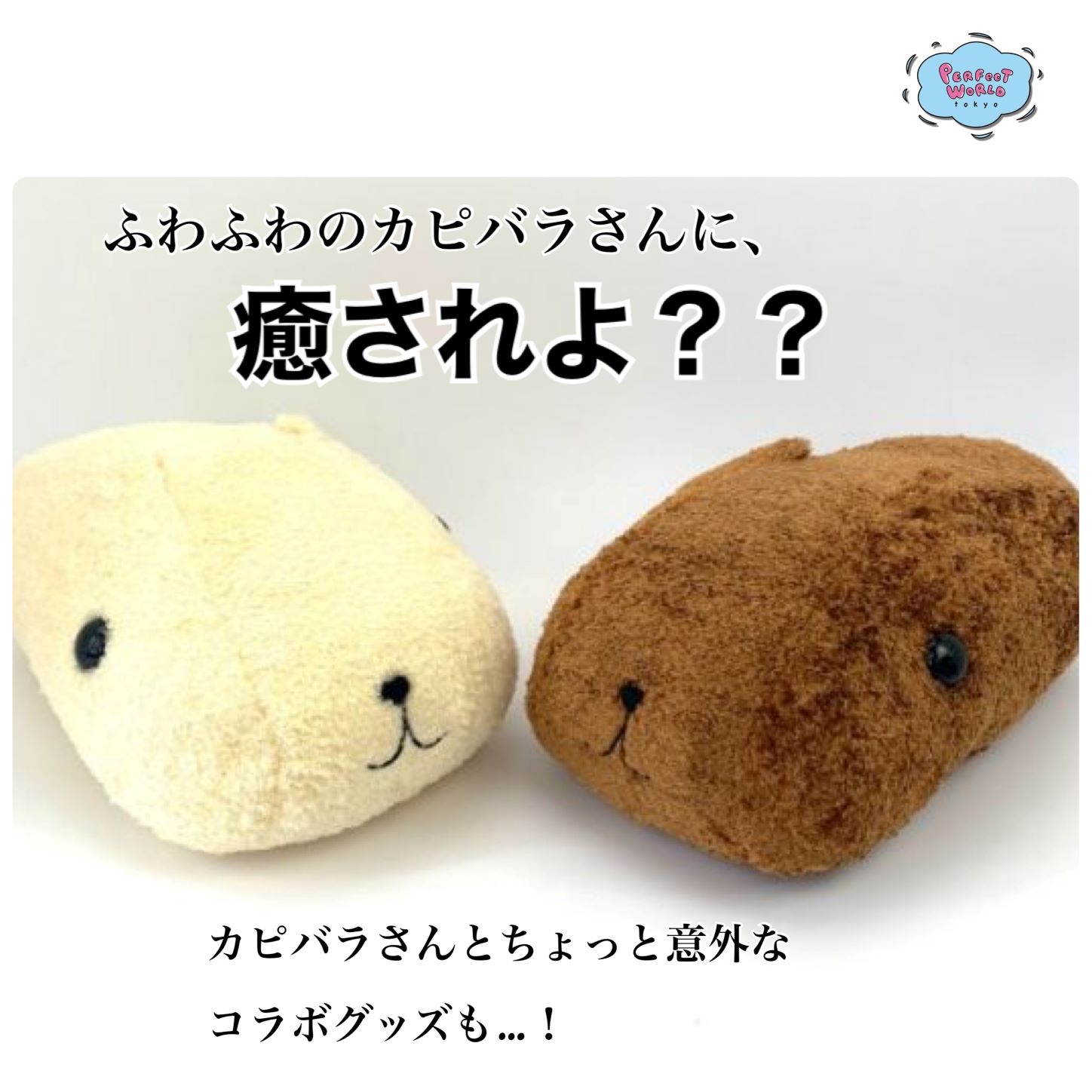 ふわふわのカピバラさんに癒されてみませんか？もふっとカピバラさんぬいぐるみがたまんない♡そしてカピバラさんとちょっと意外な組み合わせのコラボグッズも。