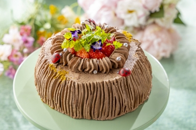 tmtgQ6vdR5NbUw7JTeXy.jpg?w=940&h=940