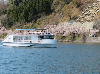 びわ湖の最北端、日本さくら名所100選「海津大崎の桜」を愛でるお花見船を期間限定で運航！ 「海津大崎桜クルーズ2025」