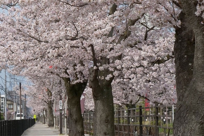 tnEFBsOTo8xT0wtRCb7H.jpg?w=940&h=940