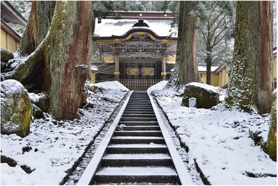 tnIzz950BylFkrySFUdv.jpg?w=940&h=940