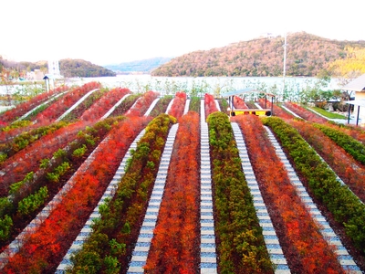 tnJWwh0eXM5bIhsTZ6l8.jpg?w=940&h=940